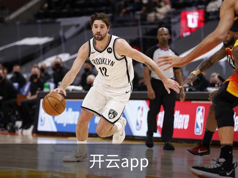 开云app概况